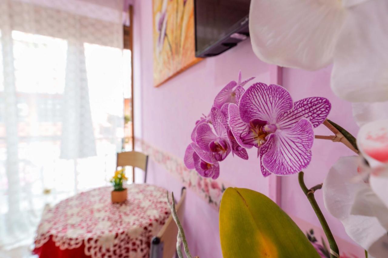 Bed And Breakfast Dolce Vita Bologna Exterior photo